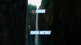 quranurdutranslation surahmaarij islamic shortvideo shorts viral jannatulfirdaus youtube yt [upl. by Westfall]