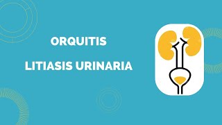 ORQUITITS  LITIASIS URINARIA  2024  II  USMP [upl. by Deerdre]