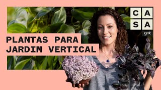 🍃 5 PLANTAS IDEAIS para o seu JARDIM VERTICAL  Plante Você Mesmo  Carol Costa [upl. by Wawro]