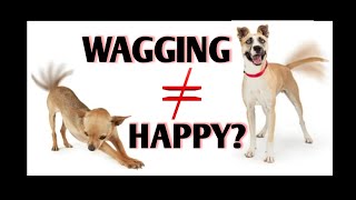 Dog Tail Wags Explained by Science  Dog Body Language [upl. by Jeramie]