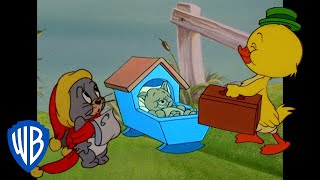 Tom amp Jerry  Cutest Characters in Tom and Jerry  Classic Cartoon Compilation  wbkids​ [upl. by Kurt]