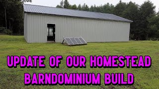 Update Summer 2024  Building Off Grid Homestead in Upstate New York [upl. by Bumgardner886]