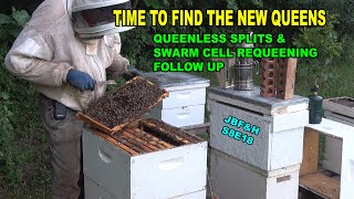 Queenless Split Queen Right Checks S8E18 beekeeping [upl. by Elletsirhc]