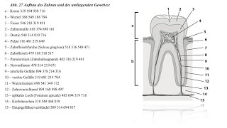 Grabovoi Zahnwiederherstellung2 [upl. by Natlus]