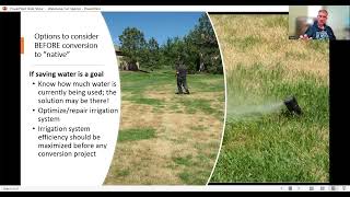 Waterwise Lawn Alternatives Pros and Cons [upl. by Wainwright]