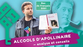 Alcools d’Apollinaire analyse en 6 questions   Bac de français 2025 [upl. by Pell41]