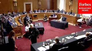 Senate Judiciary Committee Holds Confirmation Hearing On Key Biden DOJ Nominees [upl. by Shiekh]