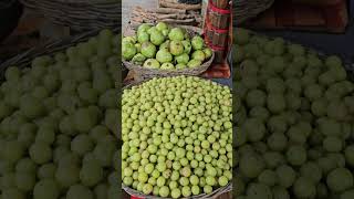 Variety of wild fruits agriculture farming [upl. by Engenia]