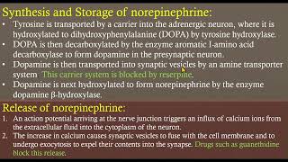 norepinephrine [upl. by Sylram]