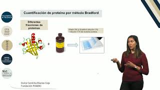 32 Cuantificación de proteína por el método Bradford [upl. by Lleinad]