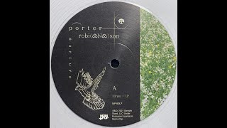 Porter Robinson  Nurture Side A Vinyl Rip [upl. by Adnihc]