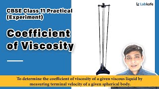 Coefficient Of Viscosity Experiment for Class 11 Practical [upl. by Sternlight]