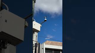 How does anemometer works anemometer wind speed technology weather australia india pakistan [upl. by Osber]