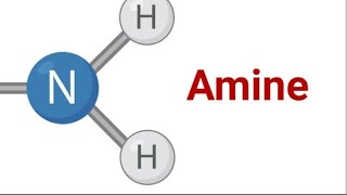 lecture 5 hinsberg test [upl. by Nair]