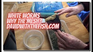 White Worm Culture  Why The Plastic Mesh [upl. by Fries]