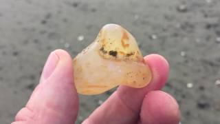 Agate Hunting and Identification at Ocean Shores WA [upl. by Nnahteb]