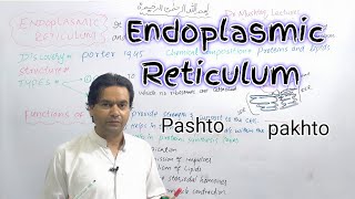 Endoplasmic Reticulum  Biology  Class 11  Dr Mushtaq Pashto Lectures [upl. by Ynnatirb]