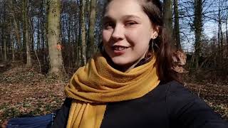 Video von Elfe im steinhausener Wald in HalleWestfalen [upl. by Aener]