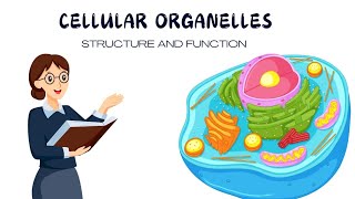 Cellular organelles  structure  function Biology [upl. by Gujral]