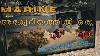 Experiment on marine aquarium part1  OMG 1500 only 😱  aquarium marineaquarium kerala jtalks [upl. by Rene]