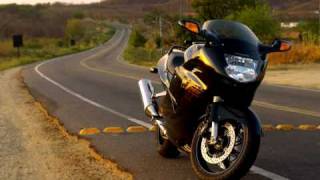 Honda CBR 1100 XX Super Blackbird [upl. by Laughry871]