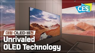 CES 2024 LG디스플레이의 독보적인 OLED 기술력  대형 OLED비전 영상 [upl. by Ayanal678]