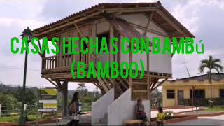 Casas hechas con bambú cabañas construidas con Bamboo [upl. by Drusi]