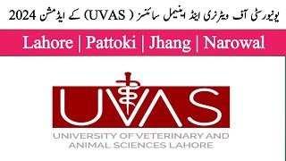 UVAS  UVAS fall admission 2024  How to apply University of veterinary amp animal sciences 2024 [upl. by Anek]