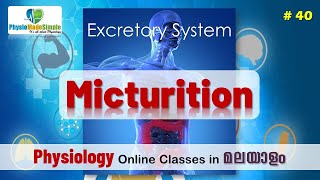 Ep40  Micturition humanphysiology malayalam excretorysystem [upl. by Ayanahs648]