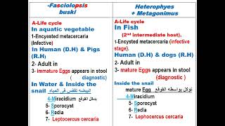 summary of intestinal Trematoda [upl. by Ushijima]