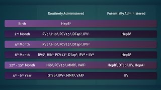 Pediatric Immunization Routine Schedule Highlights Birth to six years [upl. by Salena]