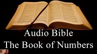 The Book of Numbers  NIV Audio Holy Bible  High Quality and Best Speed  Book 4 [upl. by Martell]