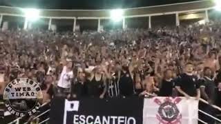 A SEMANA INTEIRA FIQUEI ESPERANDO PRA TE VER CORINTHIANS PRA TE VER JOGANDO [upl. by Analat]