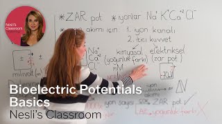 Bioelectric Potentials Basics [upl. by Aserehc]