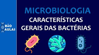 Características Gerais das Bactérias Reino Monera  Microbiologia Bacteriologia [upl. by Hafital946]