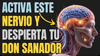 ELIMINA tus ENFERMEDADES y Activa TU AUTOSANACIÓN Con Este MISTERIOSO NERVIO  Historia Zen Budismo [upl. by Jill]