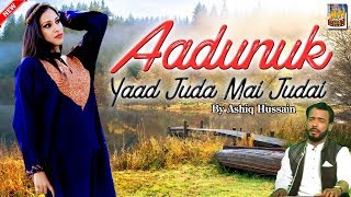 Aadunuk Yaad Juda Mai Judai By Ashiq Hussain [upl. by Anerom311]