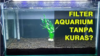 Cara Pasang amp Review Filter Undergravel Aquarium Tanpa Kuras [upl. by Onitsirc]