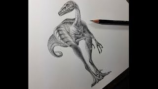 Cómo Dibujar un Eoraptor a Lápiz Paso a Paso  Dinosaurio [upl. by Templeton]