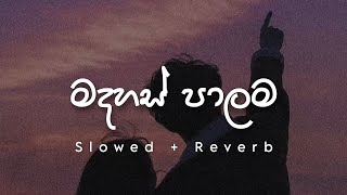 Madahas Palama  මදහස් පාලම   Slowed  Reverb [upl. by Aitam589]