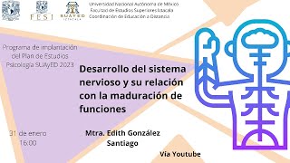 Desarrollo del sistema nervioso y su relación con la maduración de funciones [upl. by Torhert]