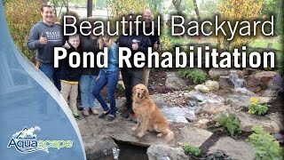 Beautiful Backyard Pond Rehabilitation [upl. by Nosyt]