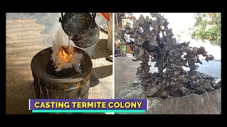 Casting An Old Abandon TERMITE COLONY With Molten ALUMINUM  Filipino Anthill Art Project [upl. by Mena688]