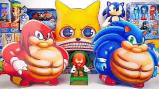 Sonic The Hedgehog 3 Toys Unboxing ASMR  Sonic Fat Mystery Box  Knuckles Fat Mystery Box [upl. by Enait824]