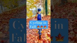 Autumn 🍂 🍁🍂🍂 cykling in Fall nature fall autumn cycling shorts [upl. by Crudden]