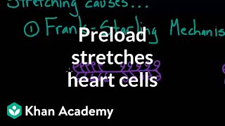 Preload stretches out the heart cells  Circulatory system physiology  NCLEXRN  Khan Academy [upl. by Brion]