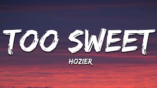 Hozier  Too Sweet Lyrics [upl. by Eenolem]