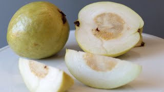 All About White Tropical Guava Guayaba  How to Eat  Taste Test [upl. by Aivek]