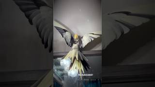 Bird of Prey or Cockatiel You Be The Judge  Louberts Stunning Wingspan  Tiel Named Loubert [upl. by Disharoon]