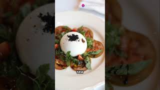 BURRATA CAPRESE SANDWICH IN 60 SECONDS [upl. by Polinski]